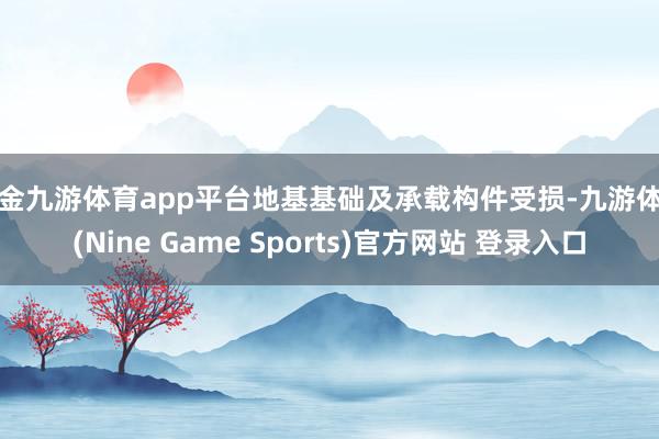 现金九游体育app平台地基基础及承载构件受损-九游体育(Nine Game Sports)官方网站 登录入口